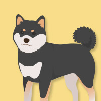 しょうや