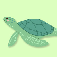 やまと