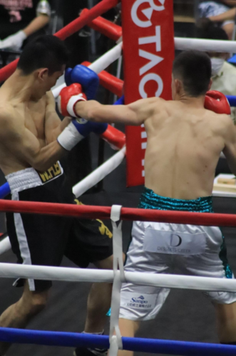 boxing suzuki